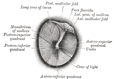 Fig. 1208
