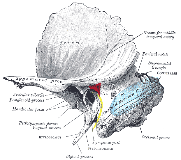 Fig. 1209
