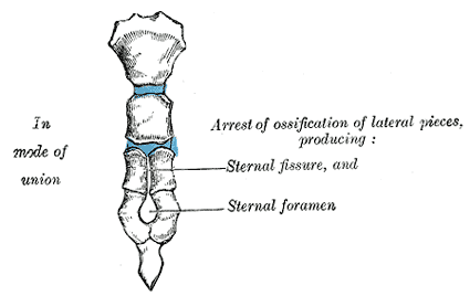 Fig. 121