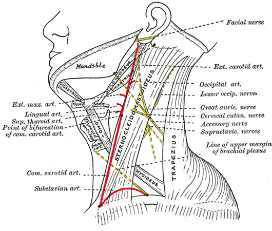 Fig. 1210