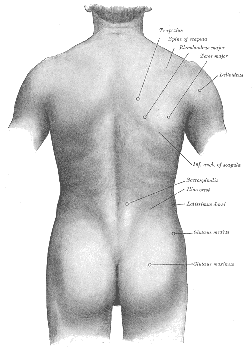 Fig. 1211