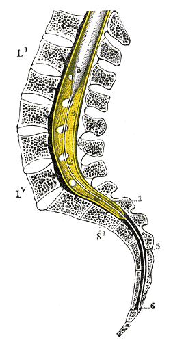Fig. 1213