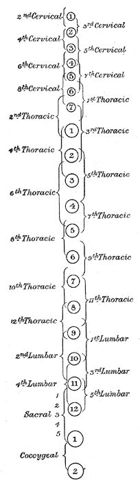 Fig. 1214