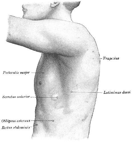 Fig. 1215