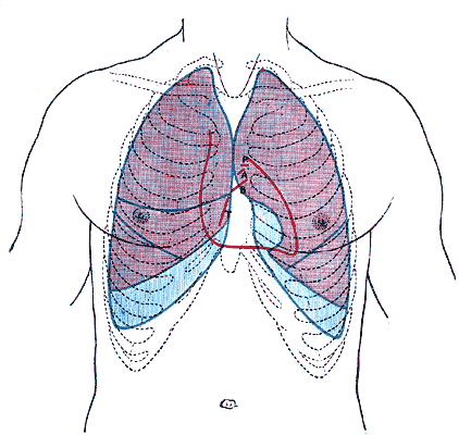 Fig. 1216