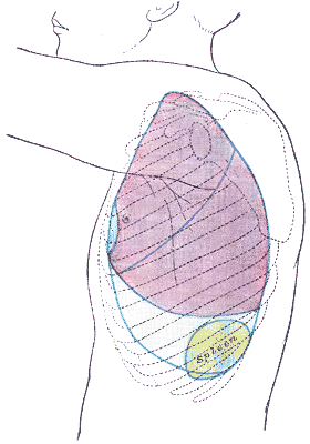 Fig. 1217