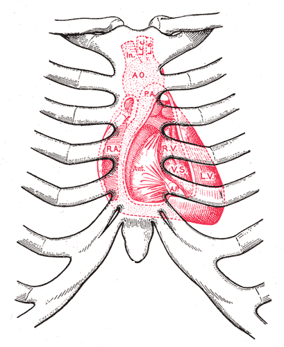 Fig. 1218