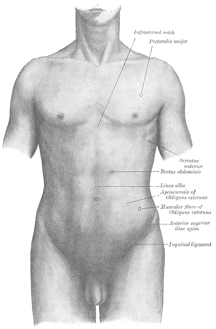 Fig. 1219