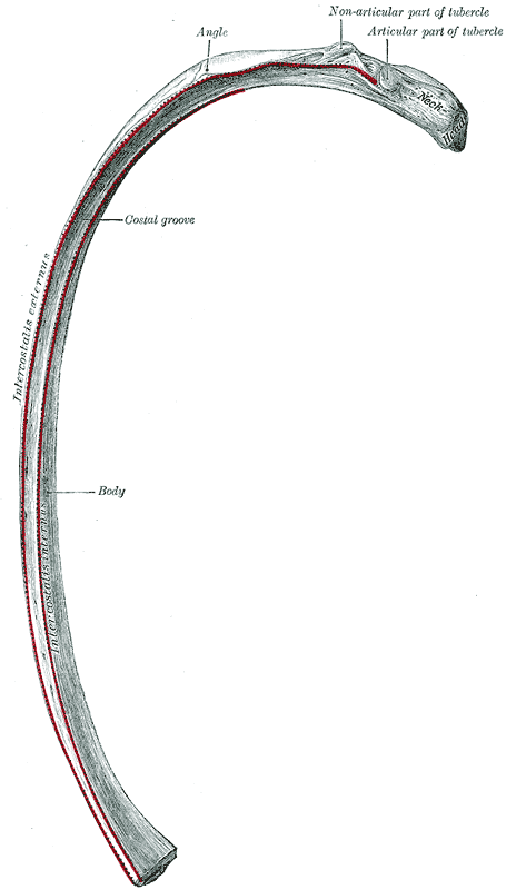 Fig. 122
