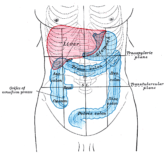Fig. 1223