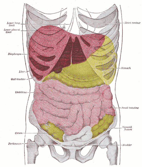 Fig. 1224