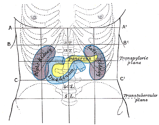 Fig. 1225