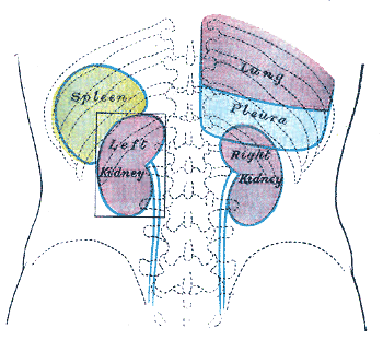 Fig. 1226
