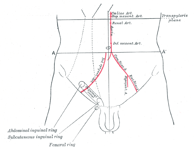 Fig. 1227