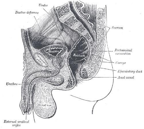 Fig. 1228