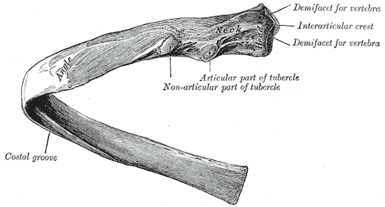 Fig. 123