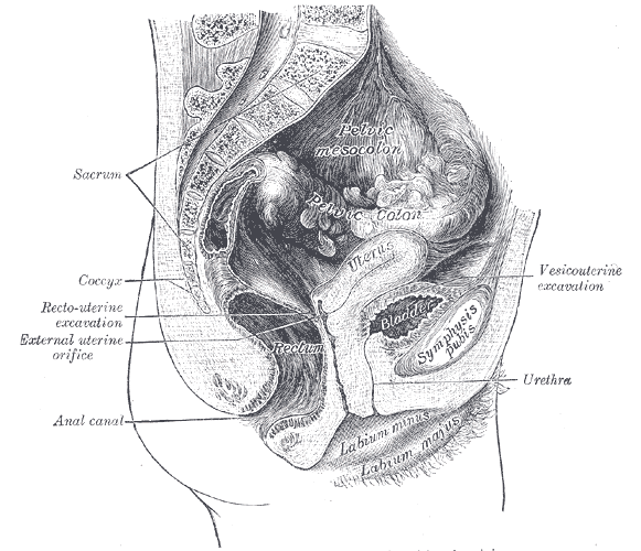 Fig. 1230