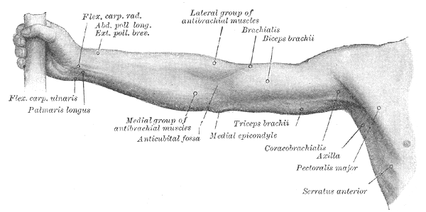 Fig. 1231