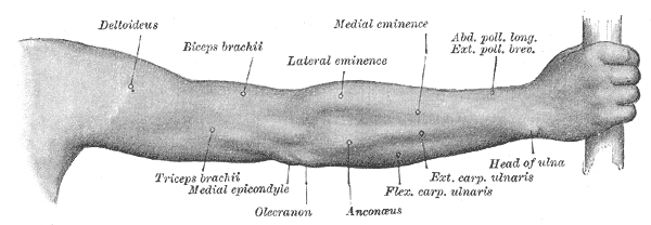 Fig. 1232