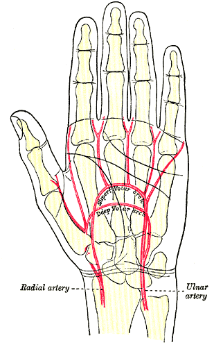 Fig. 1237