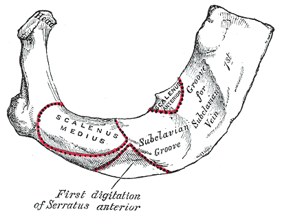 Fig. 124