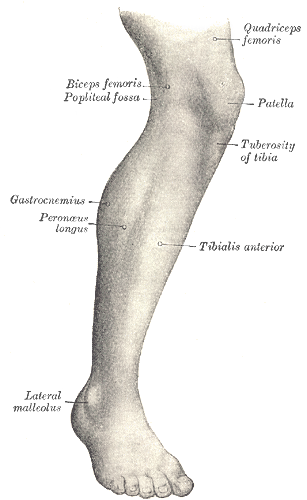 Fig. 1240