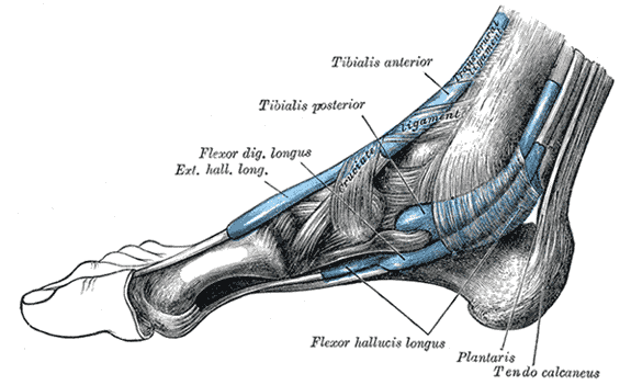 Fig. 1242