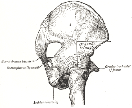 Fig. 1243