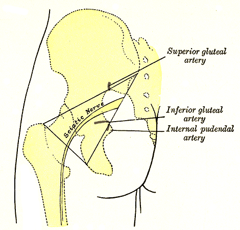 Fig. 1244