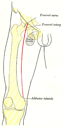 Fig. 1245