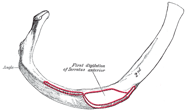 Fig. 125