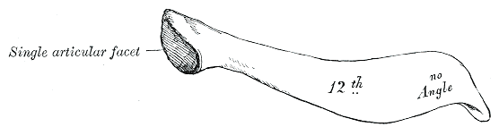 Fig. 128