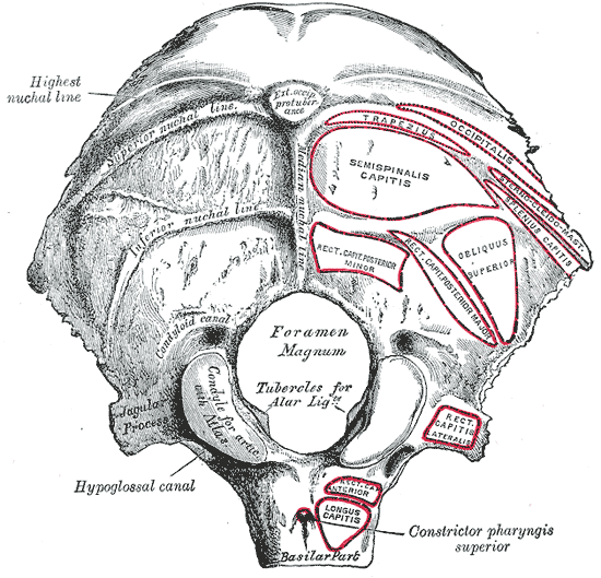 Fig. 129