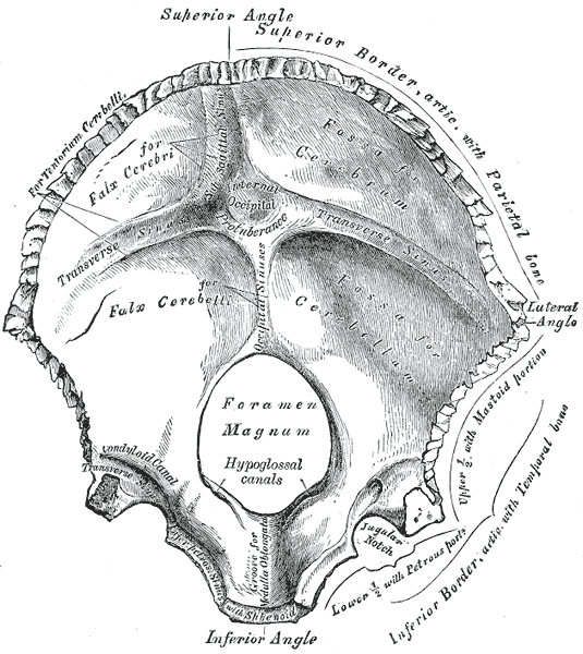 Fig. 130