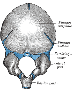 Fig. 131