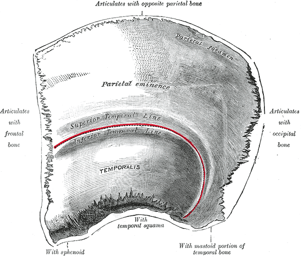 Fig. 132