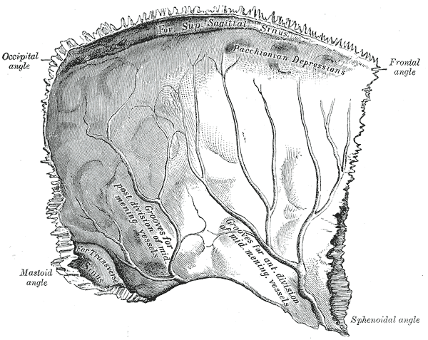 Fig. 133