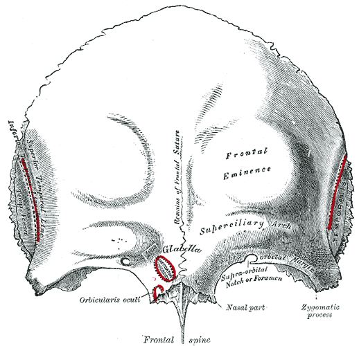 Fig. 134
