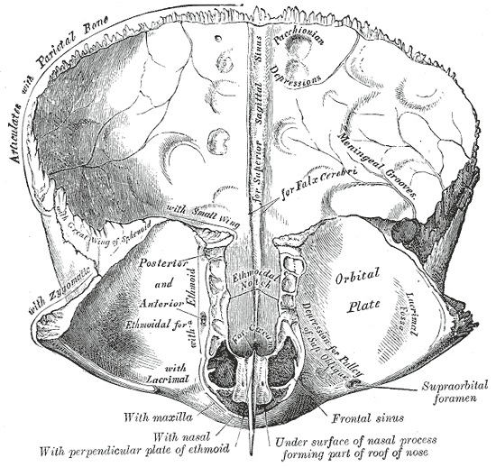 Fig. 135