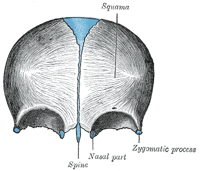 Fig. 136