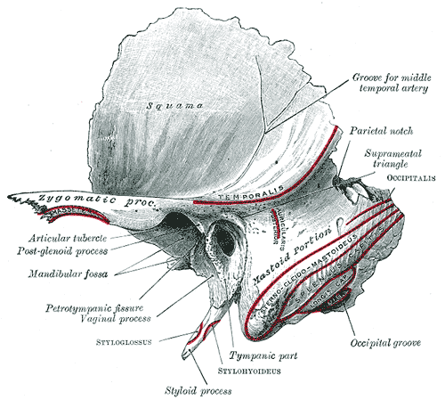 Fig. 137