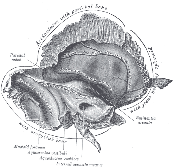Fig. 138