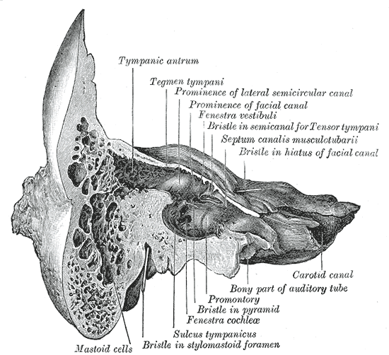 Fig. 139