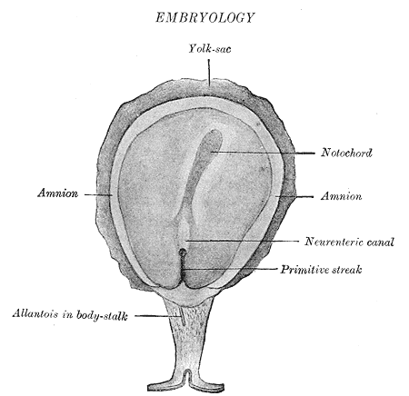 Fig. 14