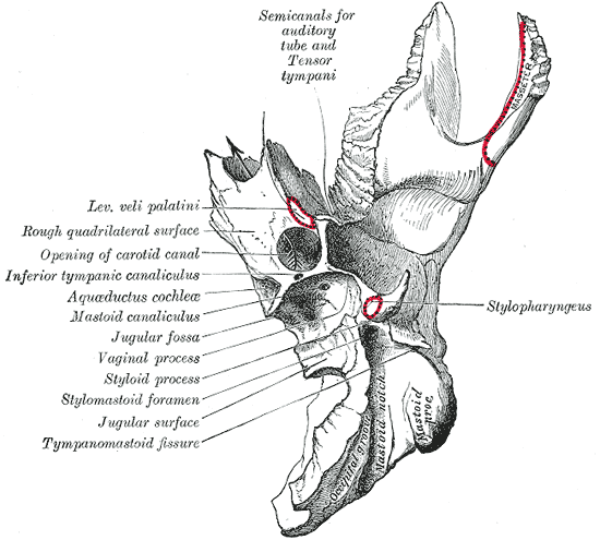 Fig. 141