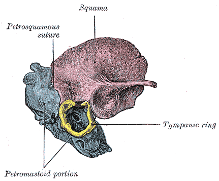 Fig. 143