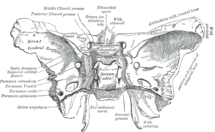 Fig. 145