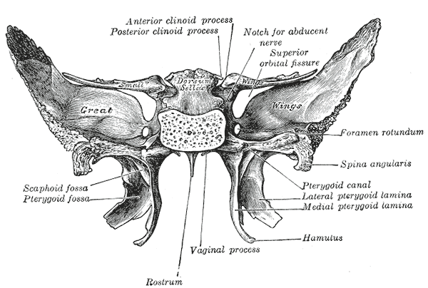 Fig. 147
