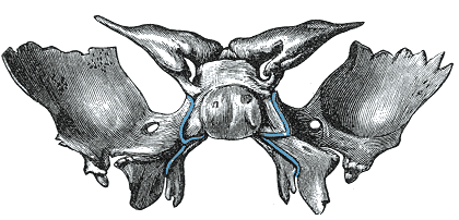 Fig. 148