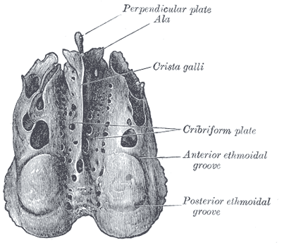 Fig. 149